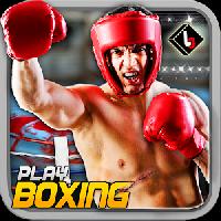 world boxing punch fighting 17