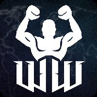 world warrior tournament gameskip