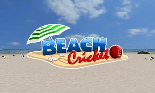 beach cricket