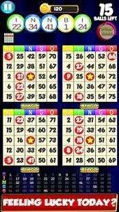 bingo: vegas and casino feel