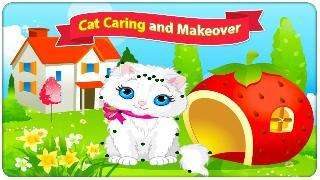 cat caring and makeover