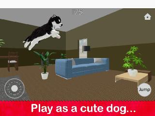 dog simulator