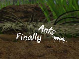finally ants