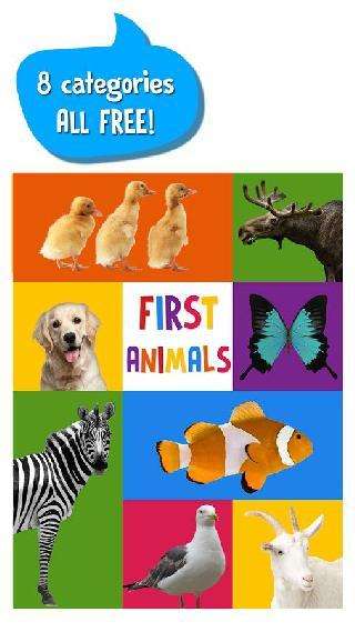 first words for baby: animals
