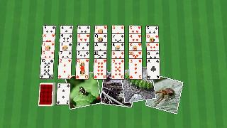 golf solitaire critters