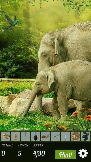 hidden object - nature moms