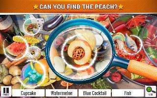 hidden objects food  kitchen cleaning game