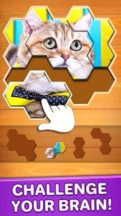 jigsaw puzzles hexa