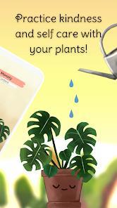 kinder world: cozy plants