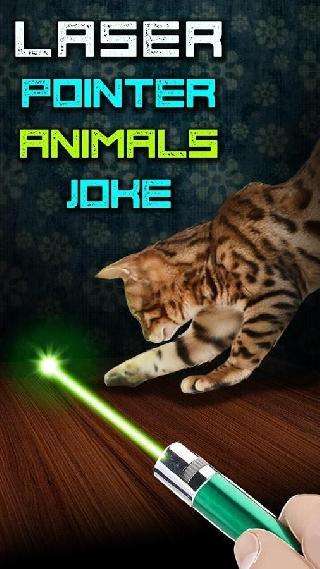 laser pointer animals joke