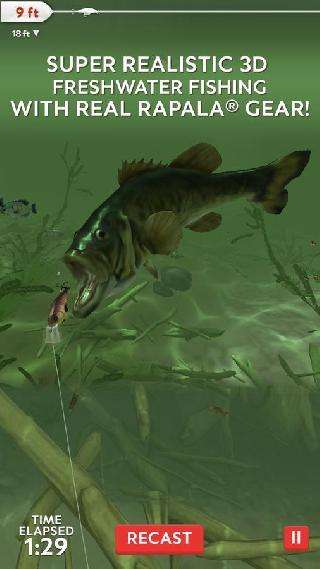 rapala fishing - daily catch