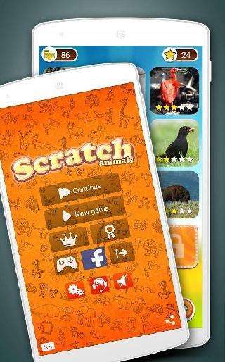 scratch: animals quiz