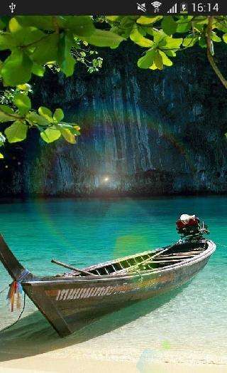 sunshine nature leaf wallpaper