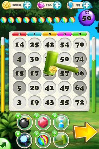 bingo puzzle