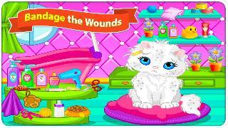cat caring and makeover