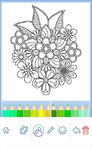 coloring book for adults