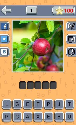 guess fruit berry