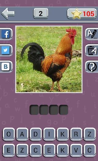 guess the animal