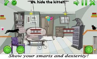 hide the cat pro