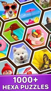 jigsaw puzzles hexa