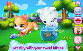 kitty love - my fluffy pet