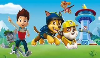 paw patrol running