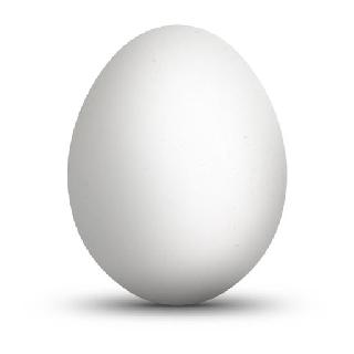 pou egg