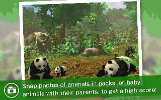 realsafari - find the animal