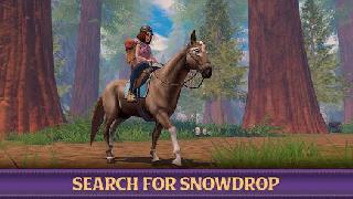 star equestrian - horse ranch