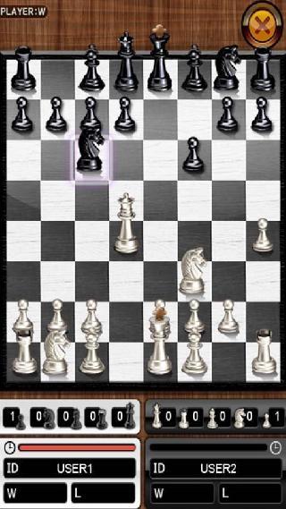 the king of chess