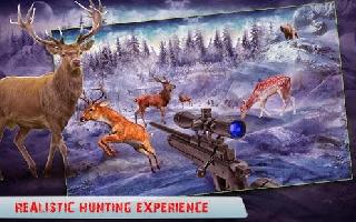 wild animal hunter