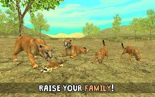 wild cougar sim 3d