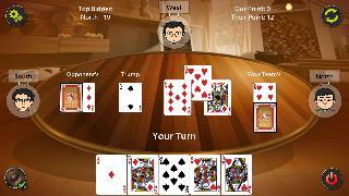 29 card game