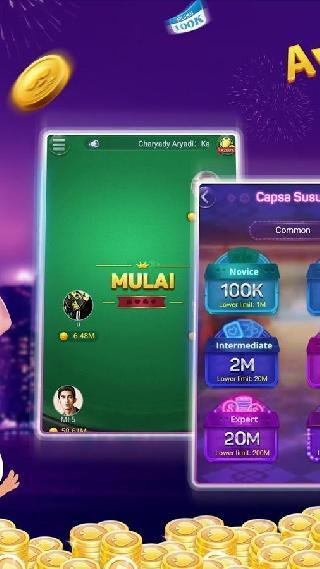 capsa susun (free and casino)