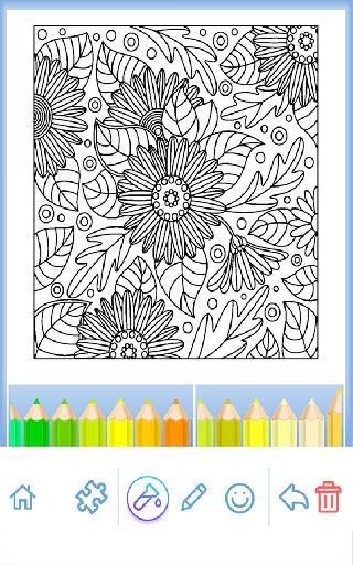 coloring book for adults