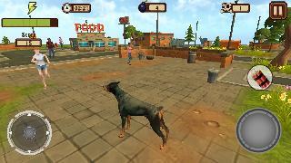 doggy dog world