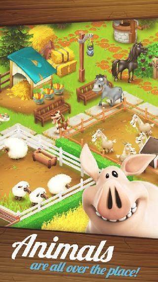 hay day