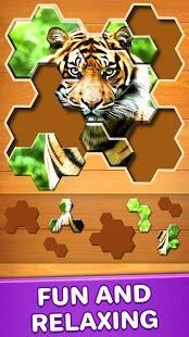 jigsaw puzzles hexa