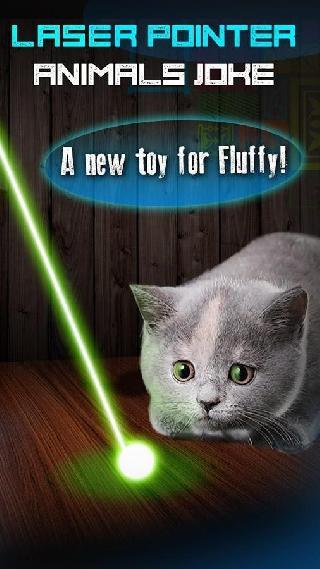 laser pointer animals joke