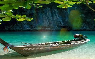 sunshine nature leaf wallpaper