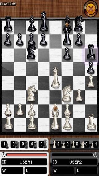 the king of chess
