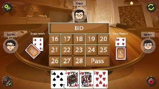 29 card game