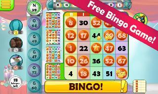 call bingo
