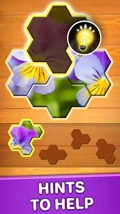 jigsaw puzzles hexa