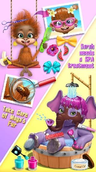 jungle animal hair salon 2