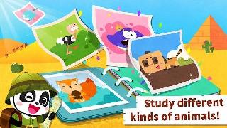 little panda s animal world