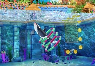 my dolphin show