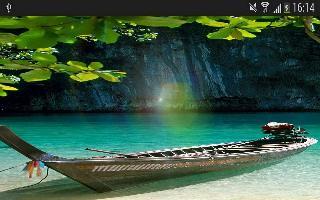 sunshine nature leaf wallpaper