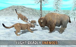 wild cougar sim 3d