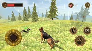 wild dog survival simulator